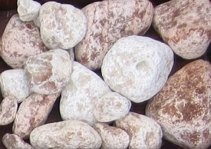 Hurtownia kamienia Kamień ogrodowy  - Otoczak triasowy 20-60 mm